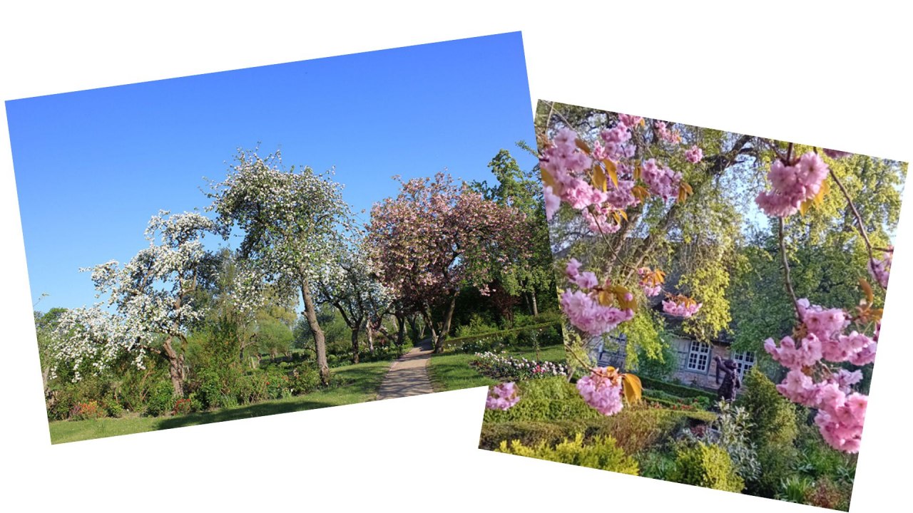 © Backstein-Geist und Garten e.V. © Backstein-Geist und Garten e.V.