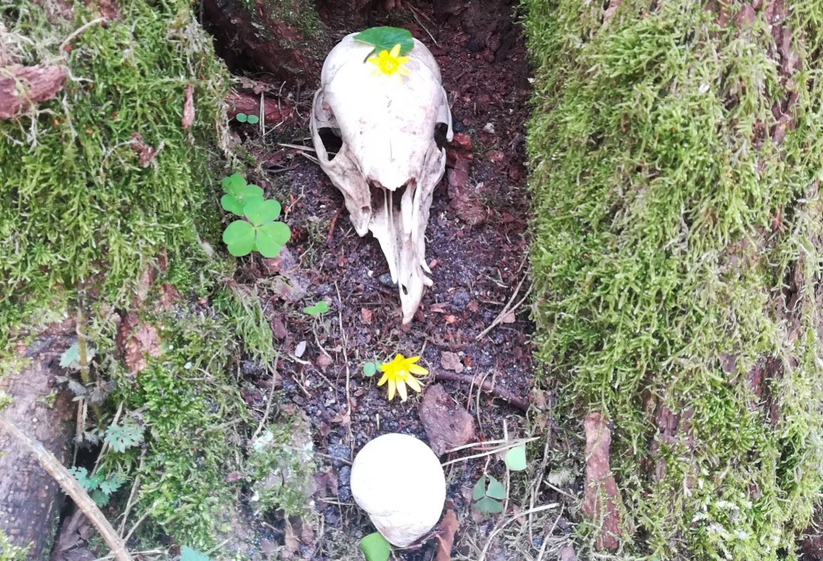 &copy; Britta Deadelow-Seydl