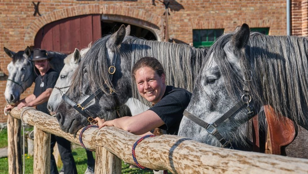 Konie hiszpańsko-normandzkie przed spichlerzem w Stadninie Koni Herian // © Michael Schauenberg Konie hiszpańsko-normandzkie przed spichlerzem w Stadninie Koni Herian // © Michael Schauenberg