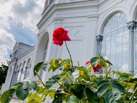 © Putbus © Putbus