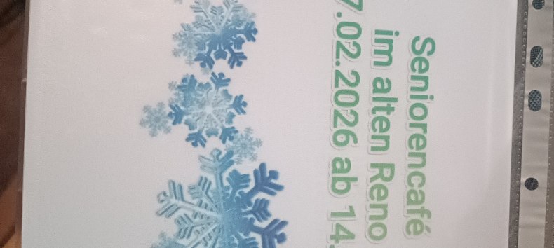 &copy; Ramona Schnee