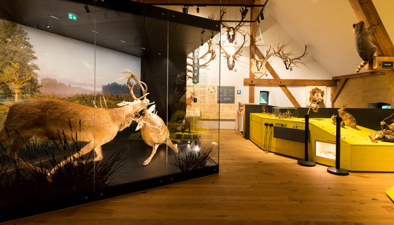 MUZEUM Stara Leśniczówka Urodzony, © Moritz Kertzscher