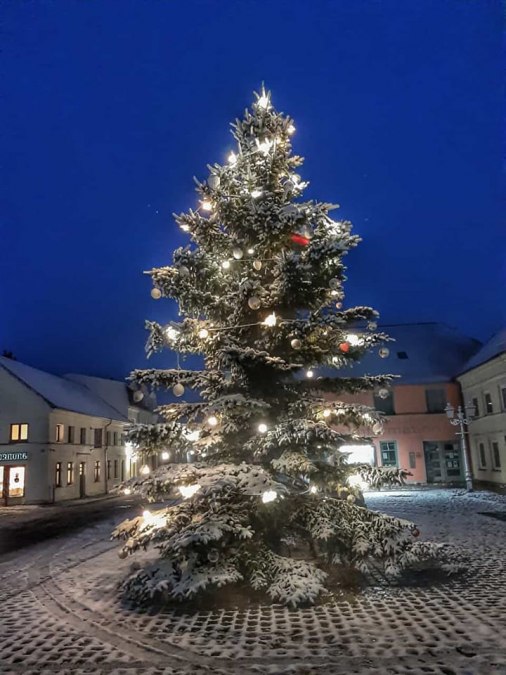 Christmas tree on the market square, © Gabriele Riech