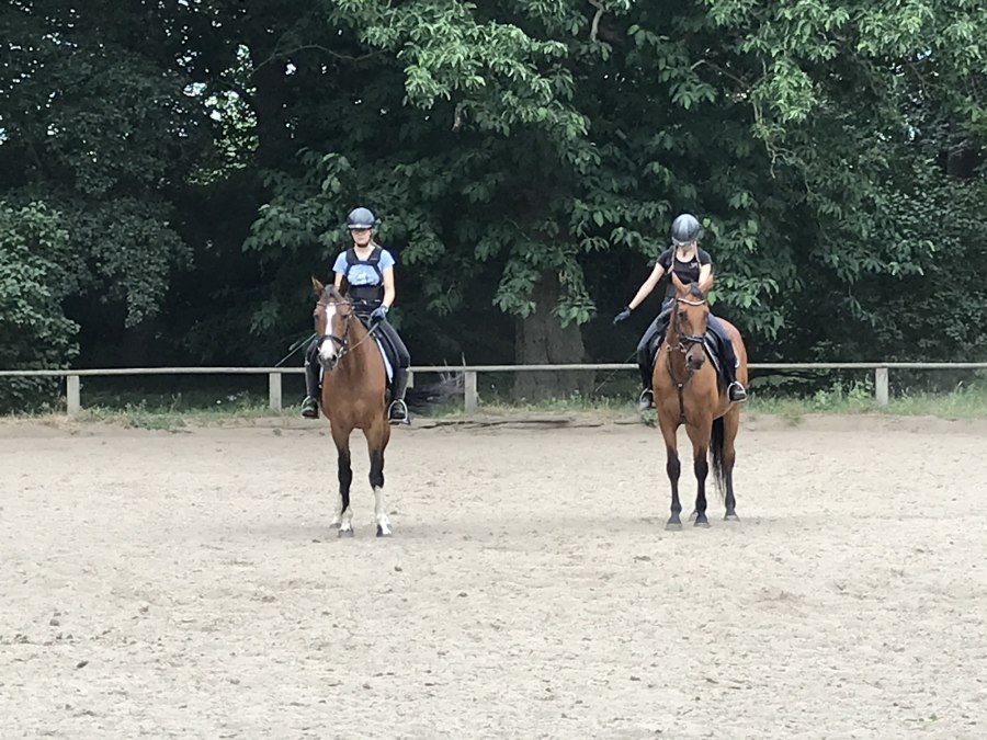 Dressage training on the field in Daugzin, © Karoline Görs Dressage training on the field in Daugzin, © Karoline Görs