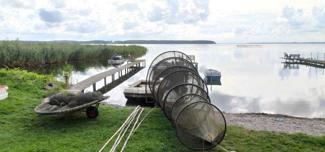 Het Achterwasser - interessante feiten en betekenis Het Achterwasser - interessante feiten en betekenis
