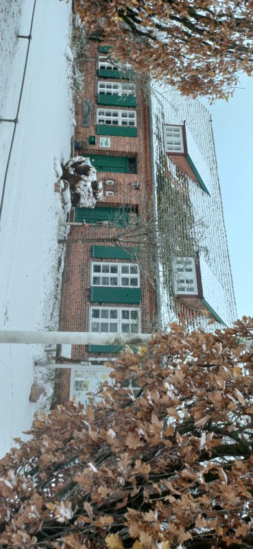 Winter in het natuurbeschermingscentrum, © Naturschutzstation Schwerin Winter in het natuurbeschermingscentrum, © Naturschutzstation Schwerin