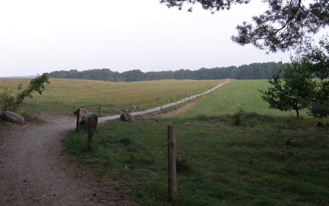 Cycle path on the shore of Lake Woblitz, © Outdooractive Redaktion