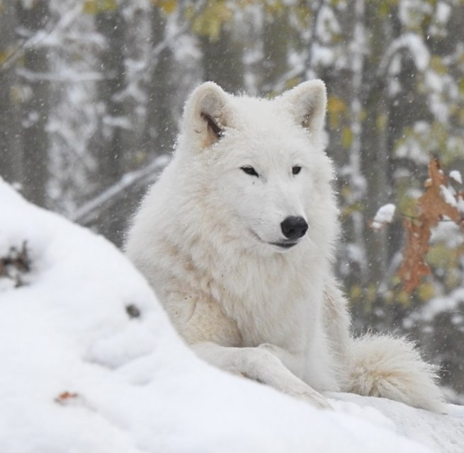 © Hansestadt Stralsund