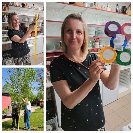 Voorbereiding voor het versieren van de meiboom, &copy; Andrea Fabich-Albrecht