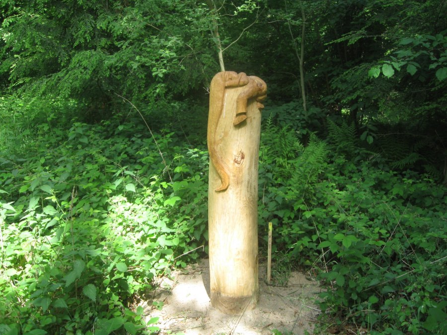 In the garden of paradise, © Landesforst In the garden of paradise, © Landesforst