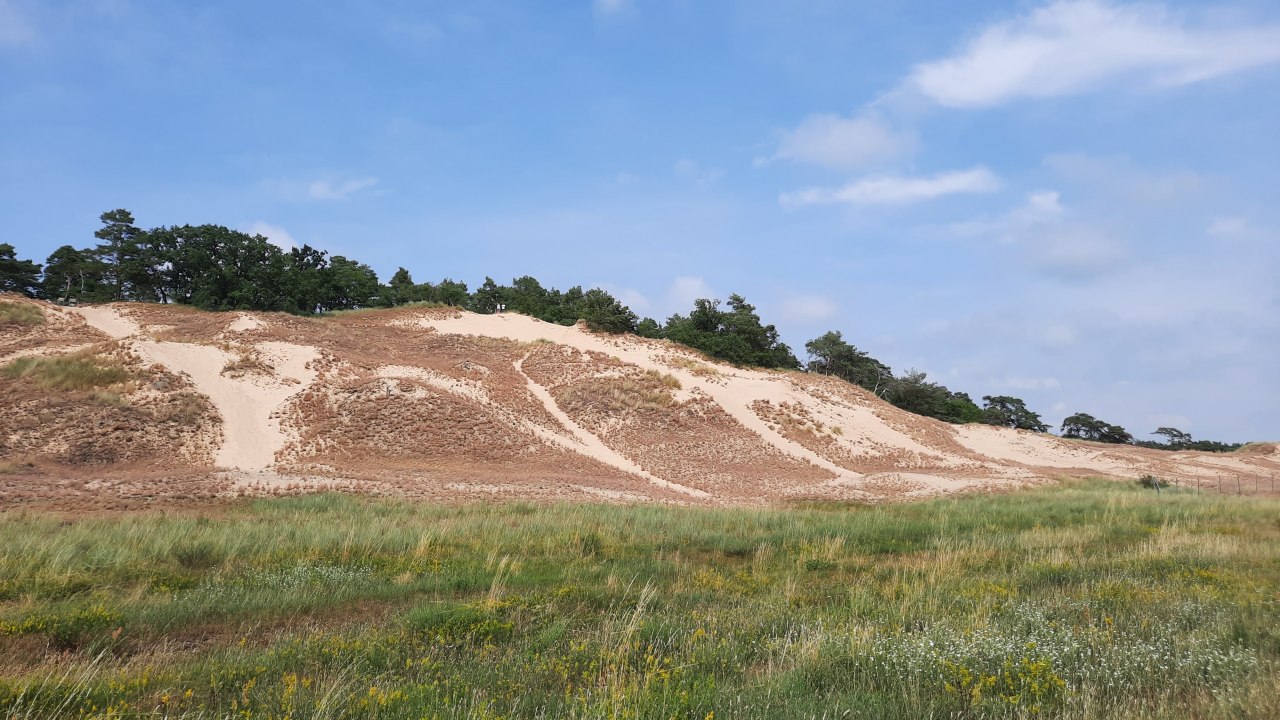 Inland dune Klein Schm&ouml;len, &copy; M. Lenthe