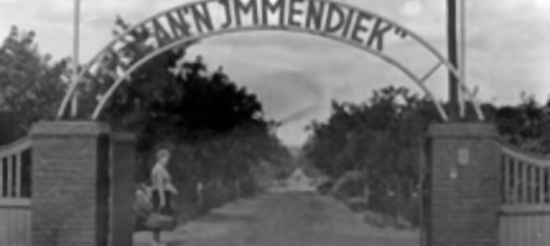 &copy; Verband der Gartenfreunde e.V. Hansestadt Rostock