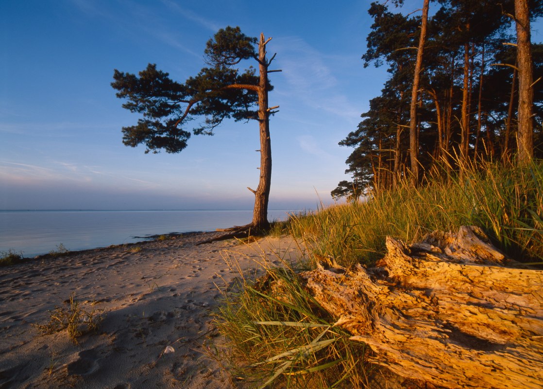 Ludwigsburg strand in de avond // © MV-T.Thomas Grundner Ludwigsburg strand in de avond // © MV-T.Thomas Grundner