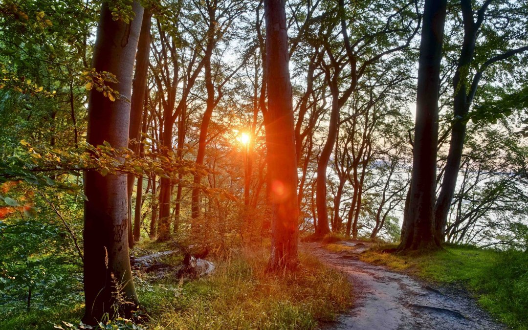 Literaire wandeling (c) Kurverwaltung Goehren Martin Stoever_07-2019_P5I1472_71_70_69_68_HDR-projecten-2, © Kurverwaltung / Martin Stoever