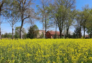LüttenHof Retreat, © Tanja von Heintze