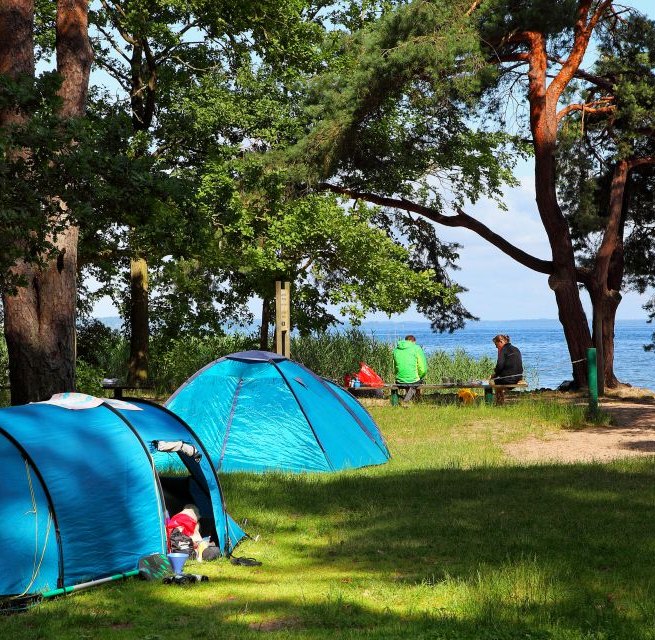 © Rene Legrand © Rene Legrand