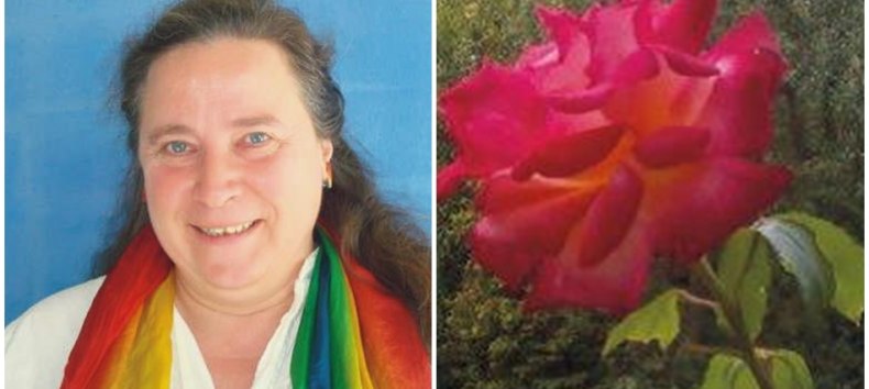 © Marita Zimmer - Training Coaching Beratung © Marita Zimmer - Training Coaching Beratung