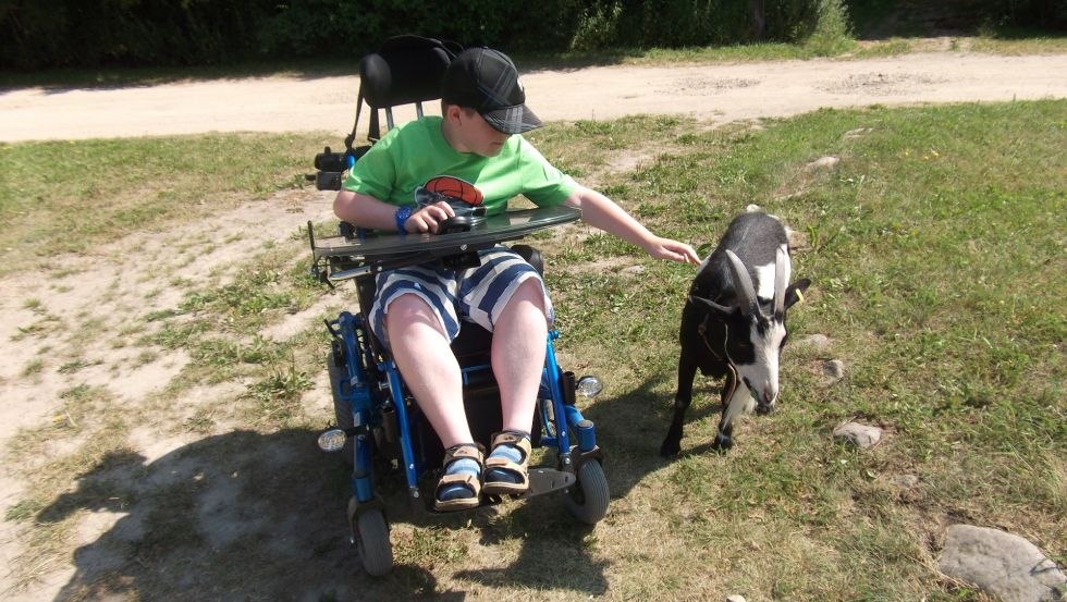 Boy with Duchenne muscular dystrophy playing with goats during recreational care by Birkenzweig e. V., © Birkenzweig e. V. Boy with Duchenne muscular dystrophy playing with goats during recreational care by Birkenzweig e. V., © Birkenzweig e. V.