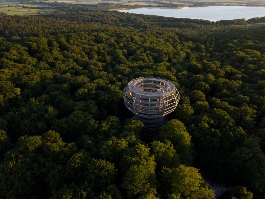 Prora - Sekrety lasu, © Binzer Bucht Tourismus