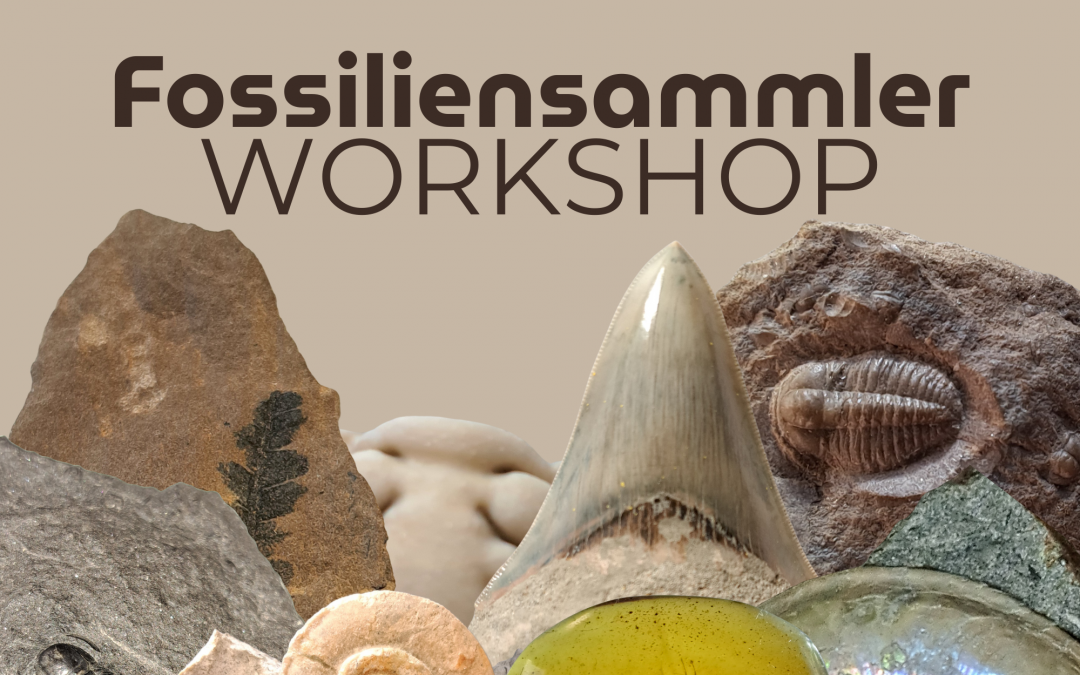 Fossil collector workshop IMX, © Ronald Klafack