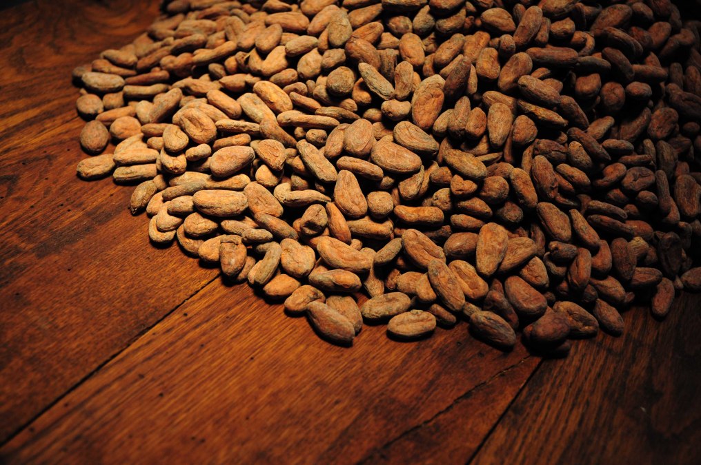 Ziarna kakaowca, © Kilian&Close