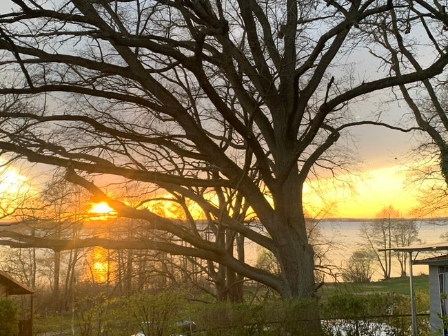 Zonsondergang, © Wald- und Seeblick Camp Zislow