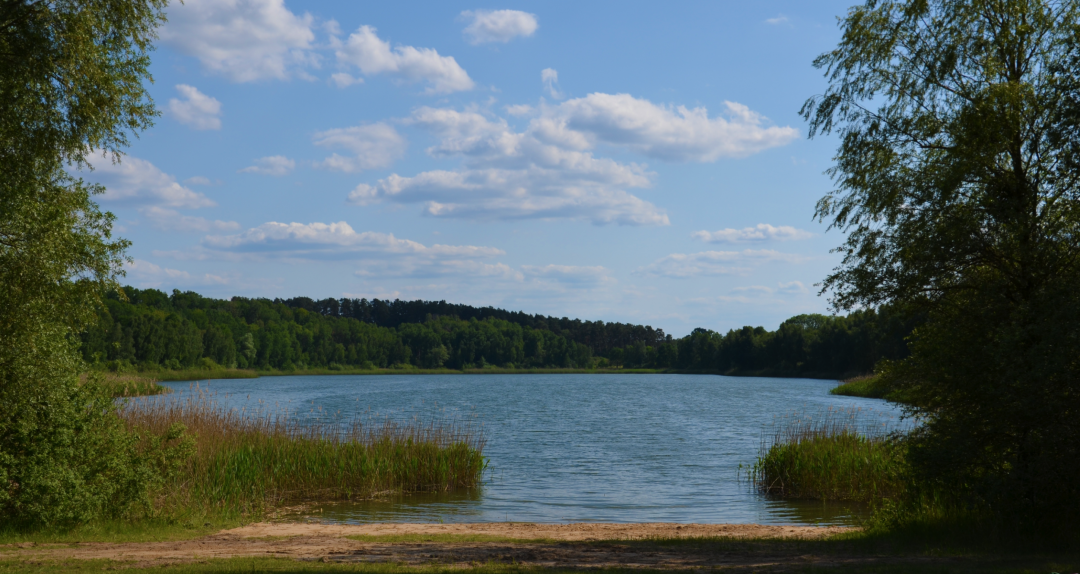Lake Cantnitz bathing area north shore 1, © Martin Möller