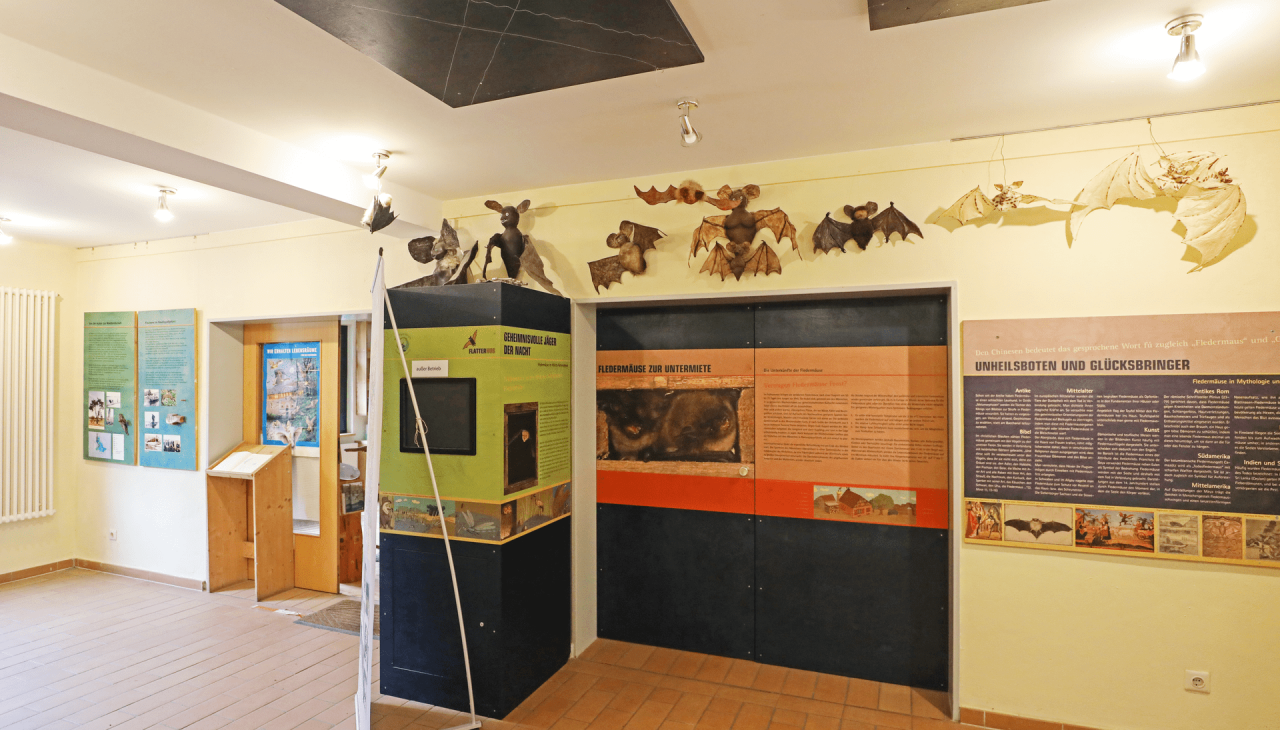 Nationalpark-Information &quot;Flatterhus Kratzeburg&quot;_3(1), © TMV/Gohlke