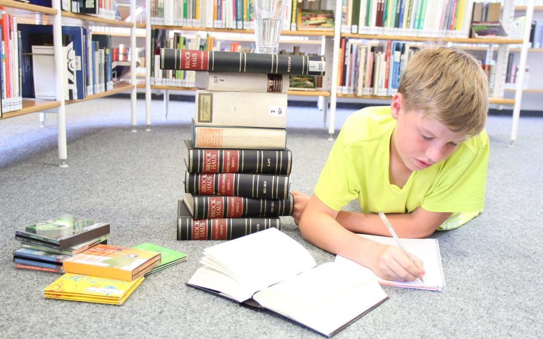 Bibliothek 2, © Julia Gnodtke