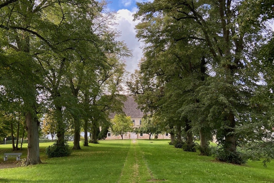 Historyczna aleja Dahlen Estate // © Felix Garten Giuliana Martinez Historyczna aleja Dahlen Estate // © Felix Garten Giuliana Martinez
