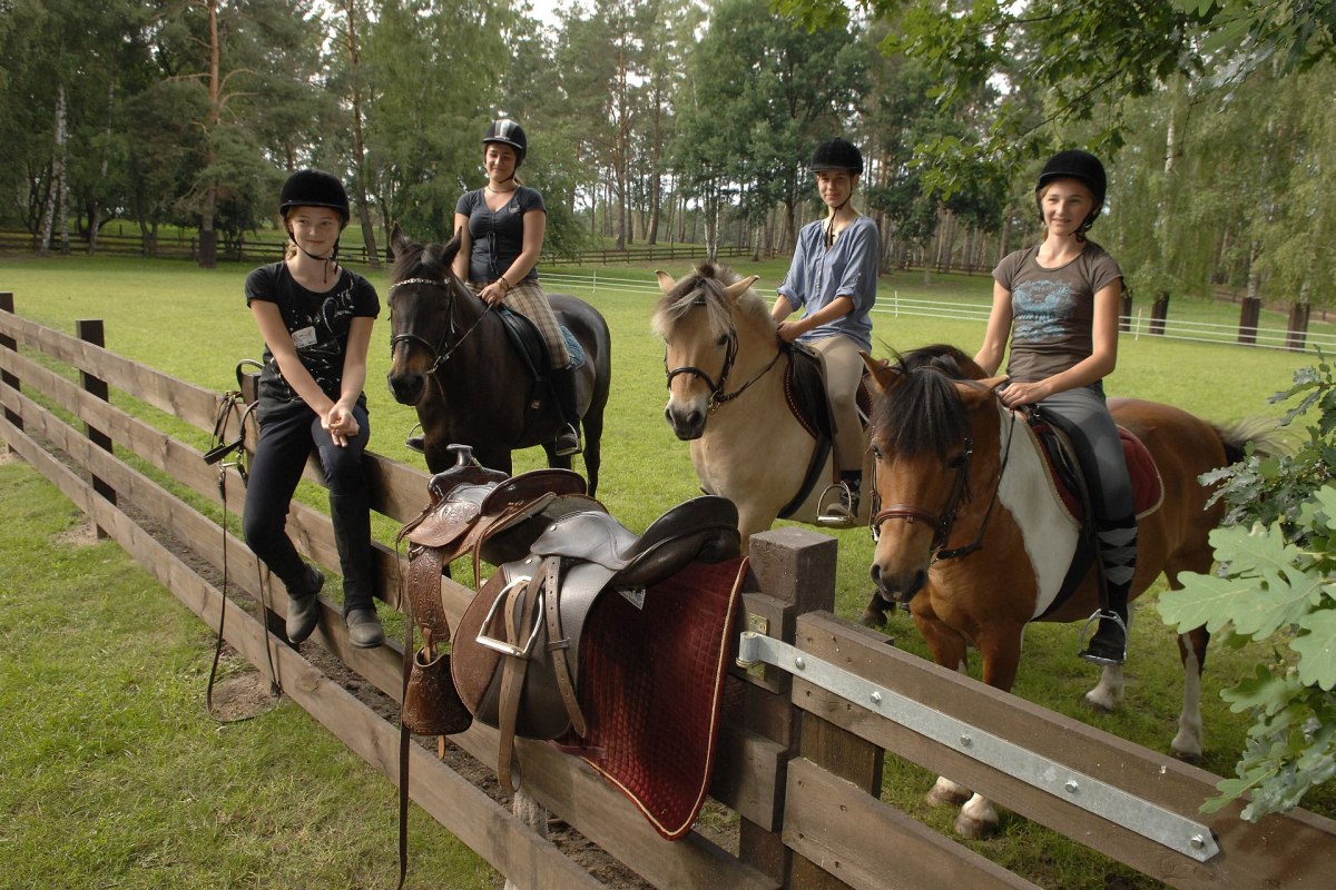 Riding ponies and horses, © Timo Weisbrich Riding ponies and horses, © Timo Weisbrich