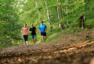 &copy; Kurverwaltung Baabe