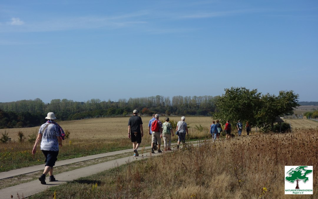 Wędrówka przez zatokę i pagórkowate krajobrazy wokół Seedorfu, © Naturerlebnisverein Rügen e.V.