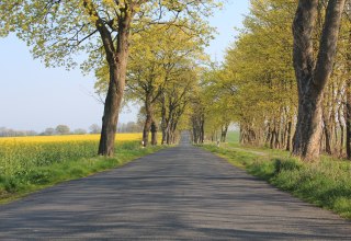 &copy; Tourismusverband Vorpommern e.V.