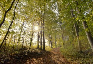 © Kurverwaltung Goehren / Martin Stoever © Kurverwaltung Goehren / Martin Stoever