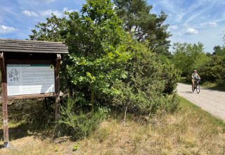 © TZ Südliche Boddenküste © TZ Südliche Boddenküste
