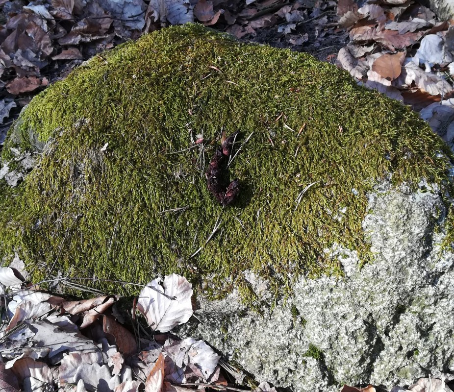Sporen en erfenissen lezen, &copy; B. Daedelow