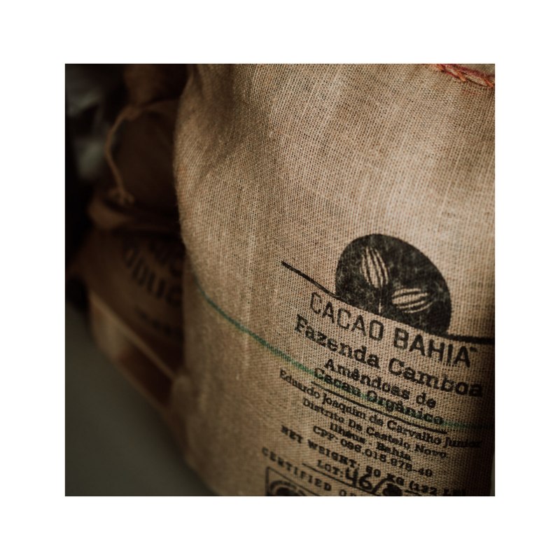 Ziarna kakaowca, © Roy Zimmer Ziarna kakaowca, © Roy Zimmer