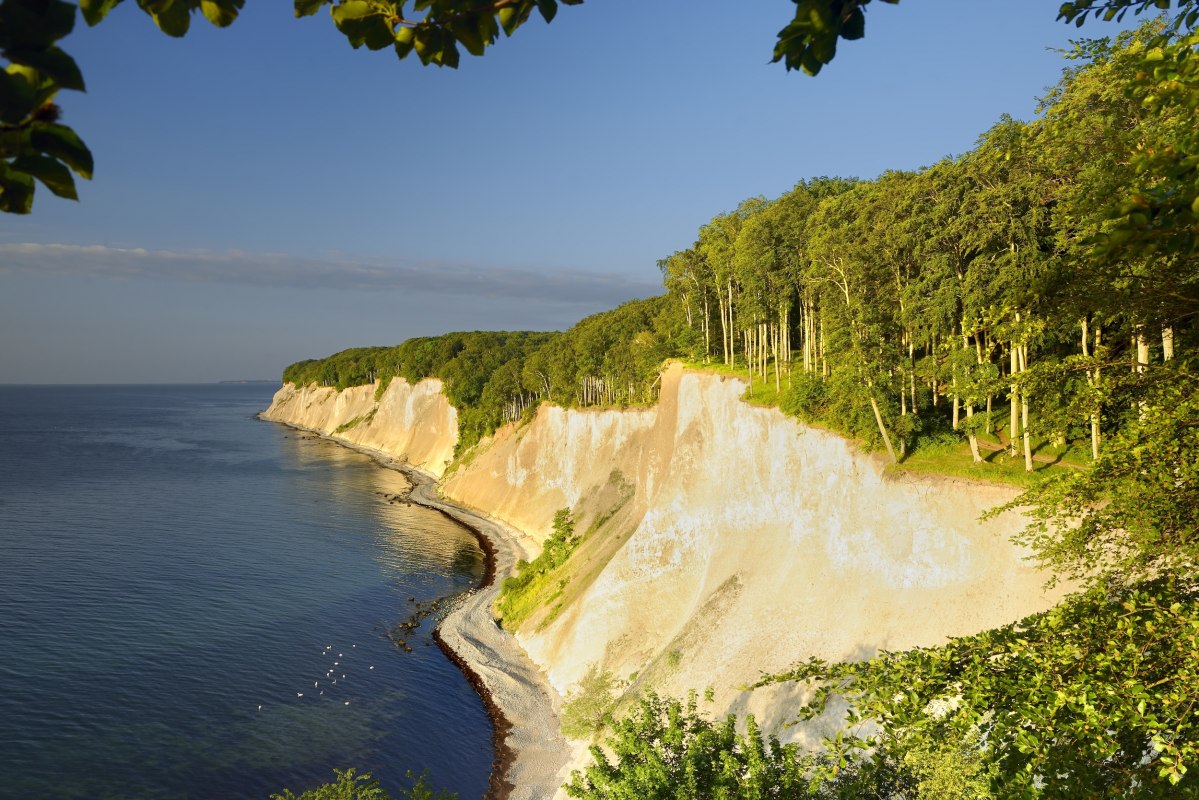 Witte krijtrotsen rijzen steil op boven de Oostzee, bekroond door dichte beukenbossen. In het Nationaal Park Jasmund op Rügen komt UNESCO Werelderfgoed samen met diepblauw water - een natuurspektakel dat je de adem beneemt. Hier versmelten miljoenen jaren geschiedenis van de aarde met de uitgestrektheid van de horizon. // © Francesco Carovillano Witte krijtrotsen rijzen steil op boven de Oostzee, bekroond door dichte beukenbossen. In het Nationaal Park Jasmund op Rügen komt UNESCO Werelderfgoed samen met diepblauw water - een natuurspektakel dat je de adem beneemt. Hier versmelten miljoenen jaren geschiedenis van de aarde met de uitgestrektheid van de horizon. // © Francesco Carovillano