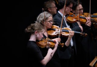 &copy; Mirco Dalchow