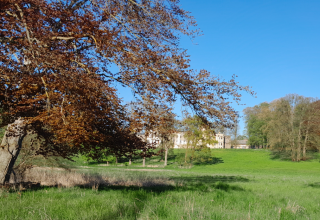 Lennépark am Schloss Varchentin // © privat Lennépark am Schloss Varchentin // © privat