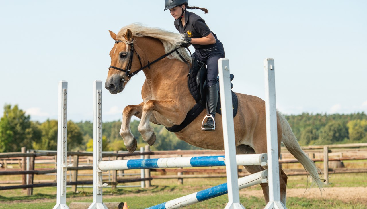 amber rider sale2018_boriskownatzki_062_1, © bernsteinreiter