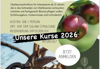 Cursus flyersnoeien, &copy; Solawi Stralsund