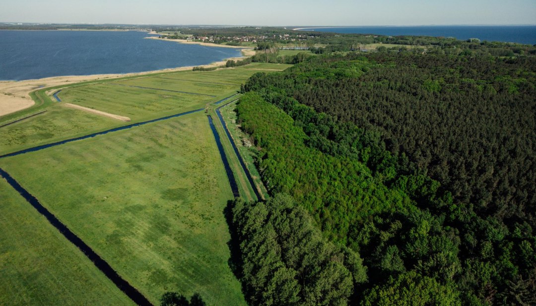 Klimatyczny las na wyspie Uznam w pobliżu Damerow, © TMV/Petermann