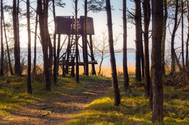Barther Strom observatietoren, &copy; Arndt Gl&auml;ser
