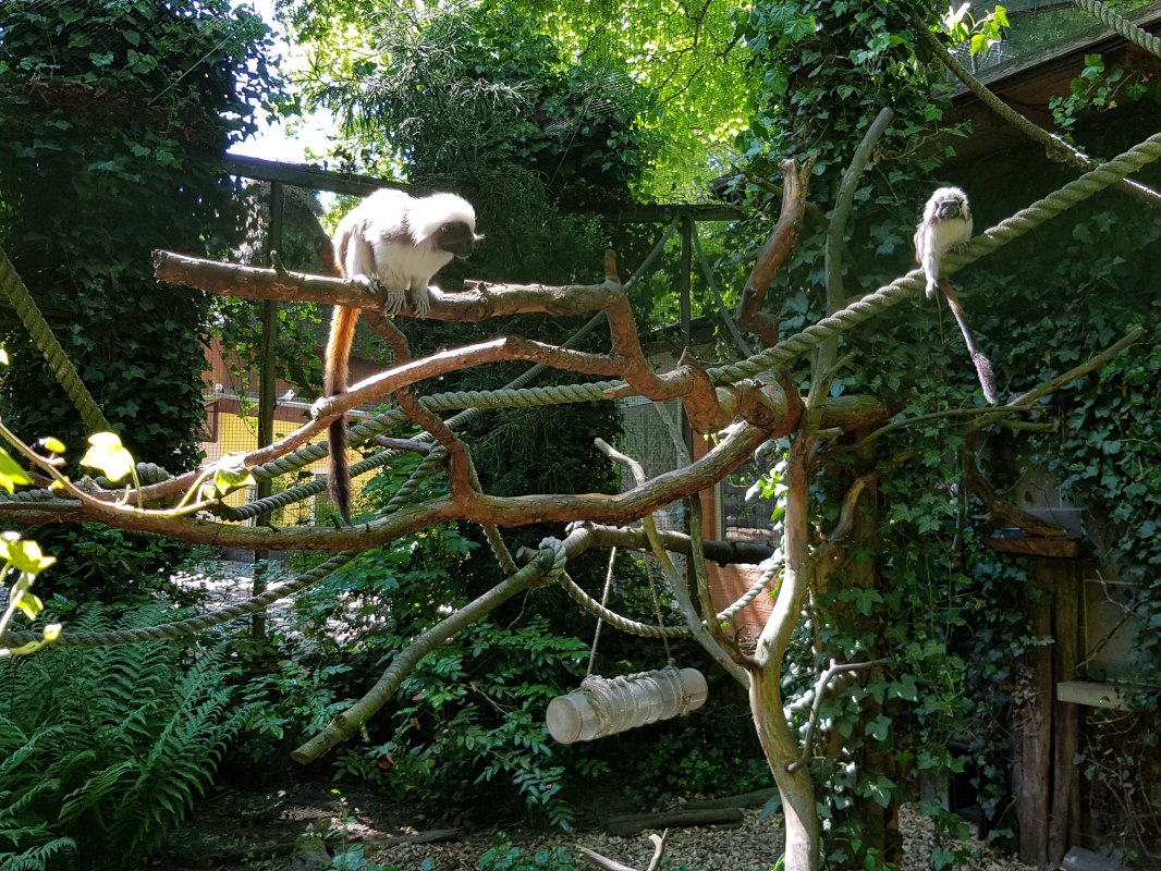 &copy; Zoo Stralsund