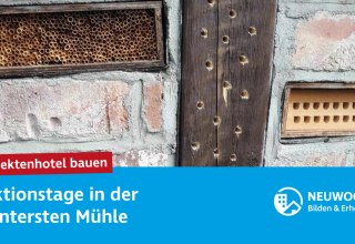 © NEUWOGES © NEUWOGES