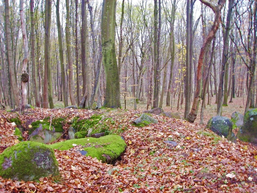 Duży dolmen z około 3000 r. p.n.e. w Klosterholz, © Archäo Tour Rügen