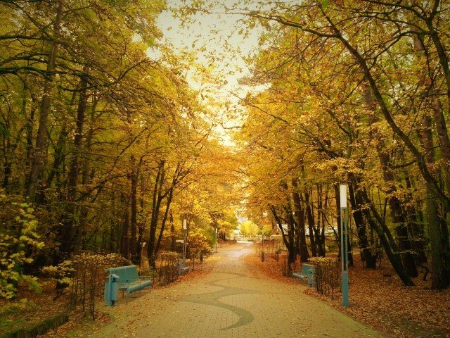 © 20161101_111039a © 20161101_111039a