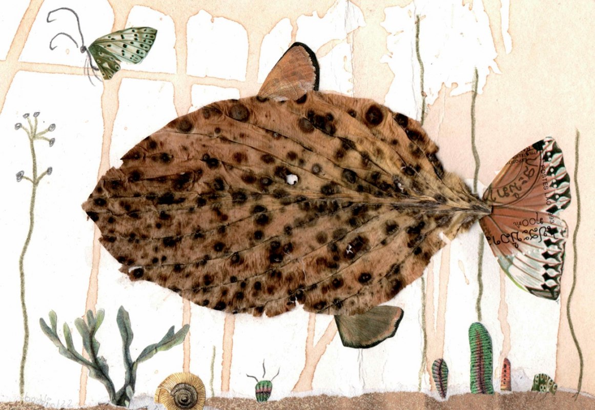 FLH_tentoonstelling_kleine_bladvis_foto&copy;Heidrun Boddin, &copy; Heidrun Boddin